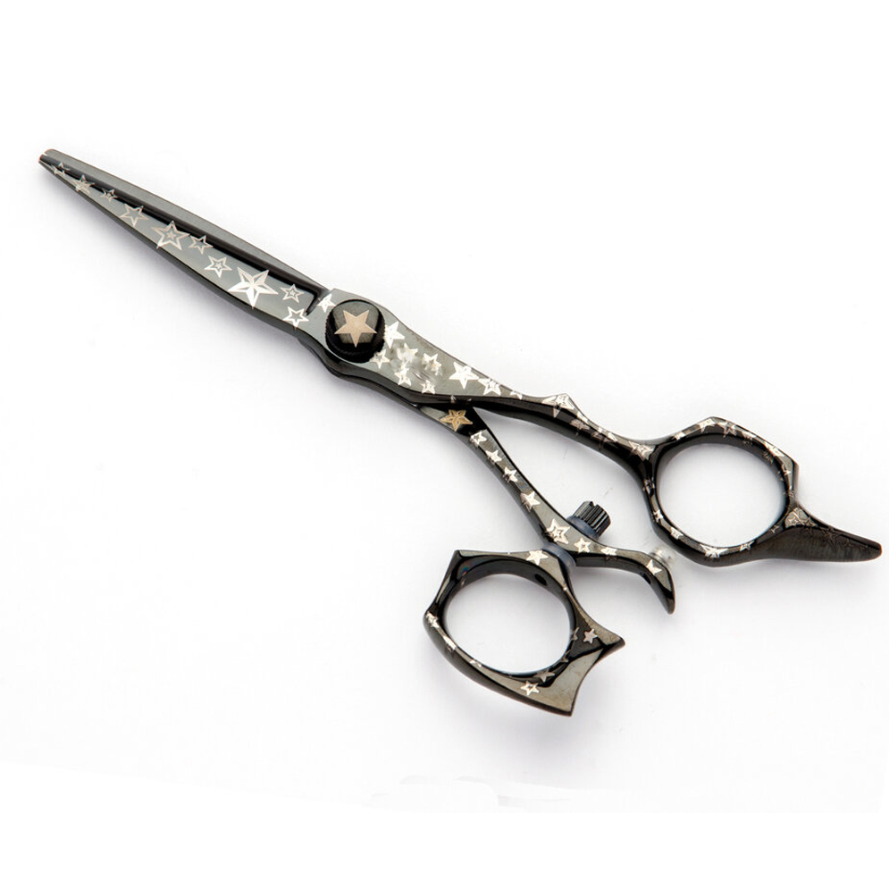 Professional Hair Scissors, Hair Cutting Scissors, Japanese Stainless Steel Haircut Scissors